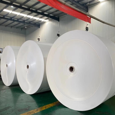 QS W 1200mm Waterproof Coated Paper Tea Cup Raw Material 350g