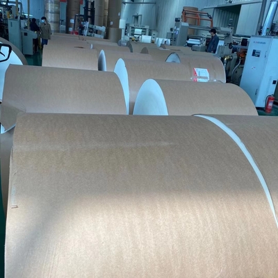 QS W 1200mm Waterproof Coated Paper Tea Cup Raw Material 350g