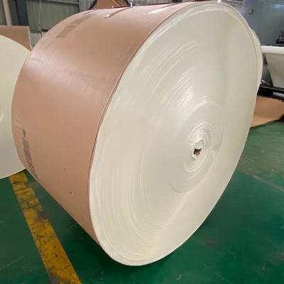 Thick 300 Gsm Duplex Paper FBB Coated Duplex Board With Grey Back