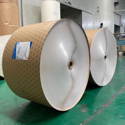 Disposable 320gsm Waterproof Coated Paper For Make PE Coated Paper Cup