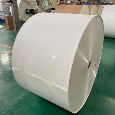 Moisture Proof C1S Ivory Board Paper Single Side Coating Anti Tear