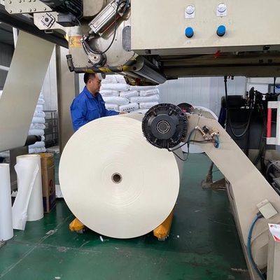 Food Grade Recyclable 250gsm PE Coated Cup Raw Material Kraft Paper Rolls For Making Cups Bowls