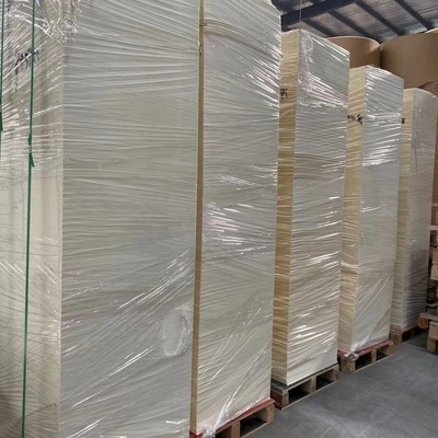 12g 15g 18g PE Raw Material Required For Paper Cup Manufacturing