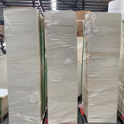 280gsm PLA Coated Paper Cup Raw Material Single Wall Paper Cup Blanks