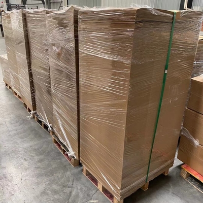 Disposable PE Coated Paper in Sheet Raw Material Paper Cup