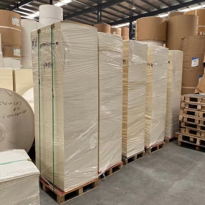White Kraft 320 Gram Paper Cup Sheet PE Coating Offset Printing