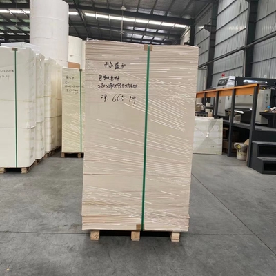 Eco-Friendly Biodegradable Food Grade PE Coated Paper Cup In Sheet