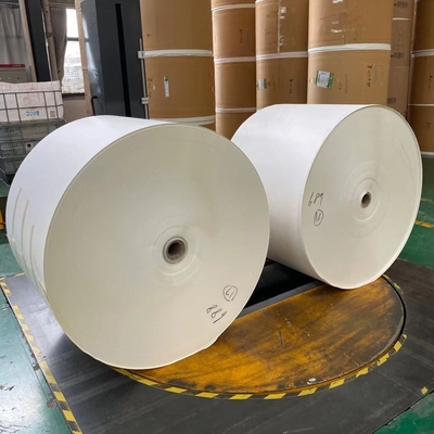 Greaseproof 150+15g PE Coated Paper Roll Raw Materials For Paper Cups