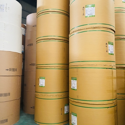 Eco-Friendly PE Coated OEM Kraft Paper Roll In Natural Color