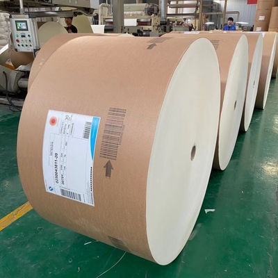 Single Double PE Laminated Paper Cup Making Raw Material 330gsm