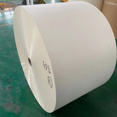 ECO 1 Sided PE Coated Paper Rolls 100 Virgin Wood Pulp Raw Material