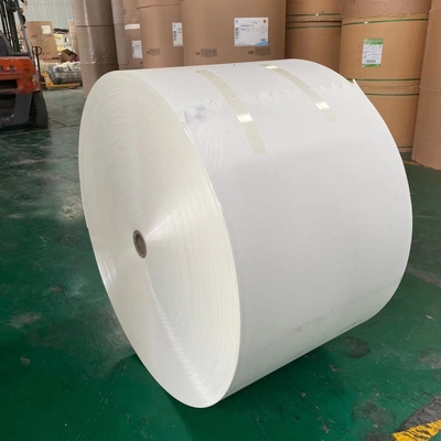 Disposable 167 Gsm PE Laminated Paper Roll For Paper Cup
