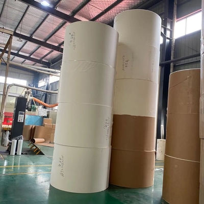 150 To 350gsm Waterproof Coated Paper PE Coated Paper In Roll