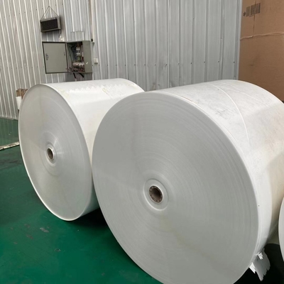Offset 280G Jumbo Paper Roll ECO Paper Tea Cup Raw Material