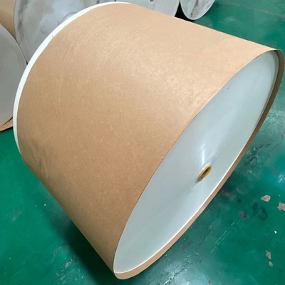13gsm 14gsm PE Coated Paper Roll ISO Paper Cup Raw Materials