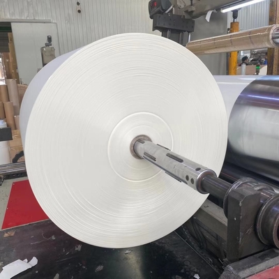 Enso 235g Jumbo Paper Roll 185gsm Single PE Coated Paper