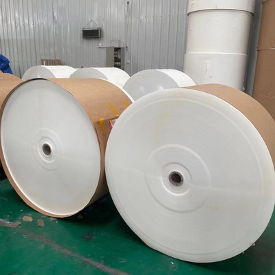 170g-320g Paper Cup Roll Polyethylene Coated Kraft Paper