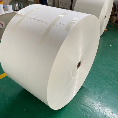 Recyclable Paper Cup Raw Material 190g+15g PE Coated Paper Rolls