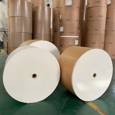 White Cardboard Jumbo Roll Paper Cup Making Raw Material 167 Gsm