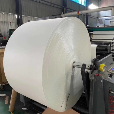 White Cardboard Jumbo Roll Paper Cup Making Raw Material 167 Gsm