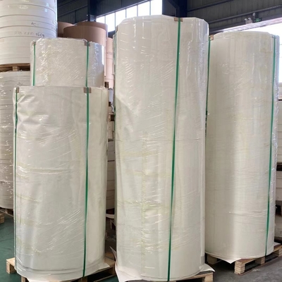Food Grade Kraft Paper Cup Bottom Roll 212F White Single PE Coated