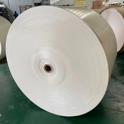Eco 300g Paper Jumbo 1200mm PE Coated Paper In Roll Chemical Mechanical Pulp