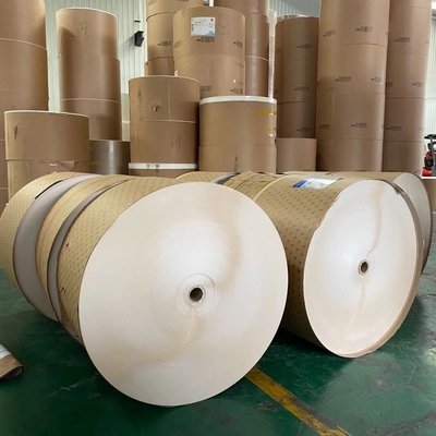 Eco 300g Paper Jumbo 1200mm PE Coated Paper In Roll Chemical Mechanical Pulp