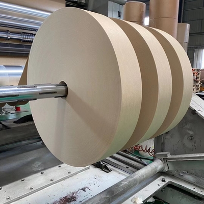 Food Grade Paper Cup Bottom Roll Single PE Coated 100% Virgin Wood Pulp