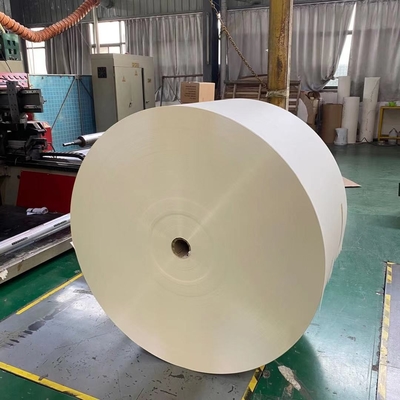 Flexographic Plastic Coated Paper Roll 160 Gram Paper Cup Raw Material