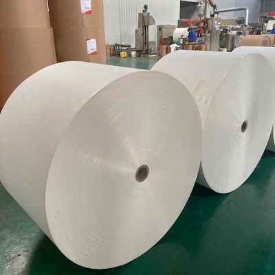 Greaseproof PE Coated Paper Roll Food Grade Eco-friendly Biodegradable