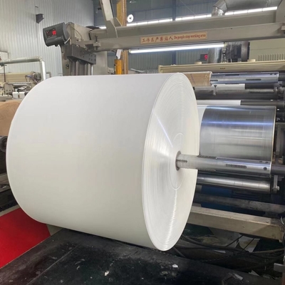 500mm 170g PE Coated Paper Roll 100% Virgin Wood Pulp Raw Material