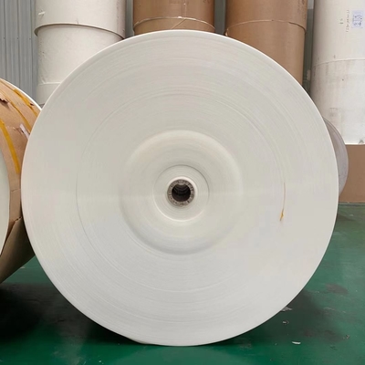 500mm 170g PE Coated Paper Roll 100% Virgin Wood Pulp Raw Material