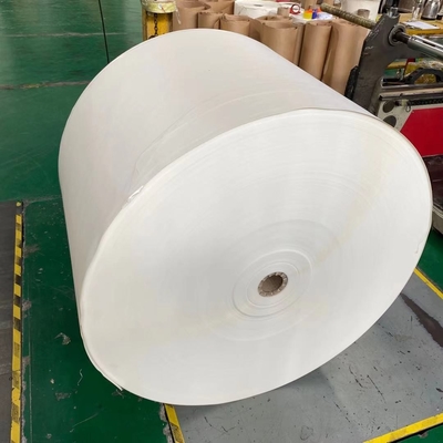 Food Grade 2 Sided PE Coated Paper Roll 167 Gram Paper Cup Sheet