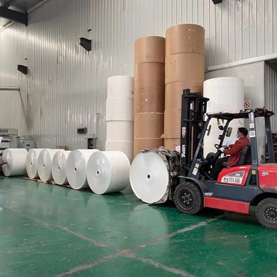 Food Grade 2 Sided PE Coated Paper Roll 167 Gram Paper Cup Sheet