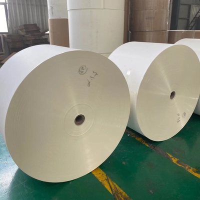 100% Virgin 210+15 Double PE Coated Paper Jumbo Roll Biodegradable