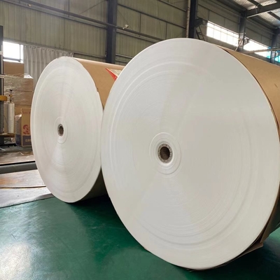 Eco Friendly 320gsm Beverage Paper Cup Raw Material Biodegradable