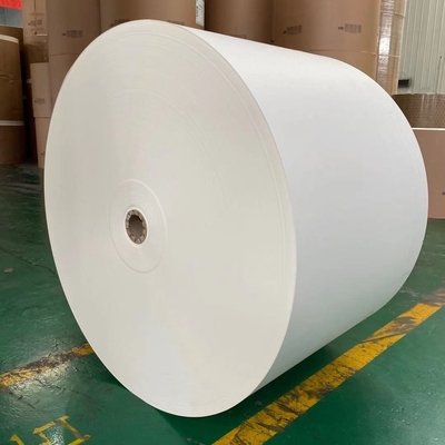 Eco Friendly 320gsm Beverage Paper Cup Raw Material Biodegradable