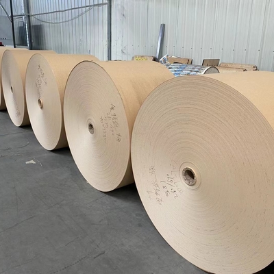 Bio Disposable 280gsm PE Coated Kraft Paper Roll For Salad Bowl