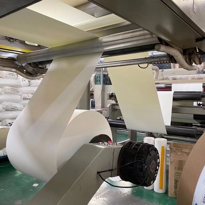 wholesale Disposable 190gsm 210gsm FBB Paper Board Ivory Paper Roll