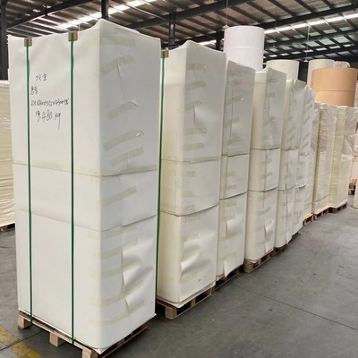 Eco-Friendly Biodegradable Food Grade PE Coated Paper Cup In Sheet