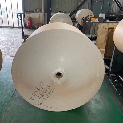 Bio Paper Cup Raw Material 185gsm 190gsm PE Paper Roll