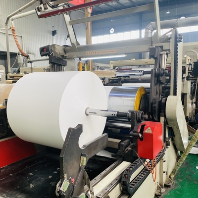 Glossy Double PE Coated Paper Rolls 500mm-1300mm Width
