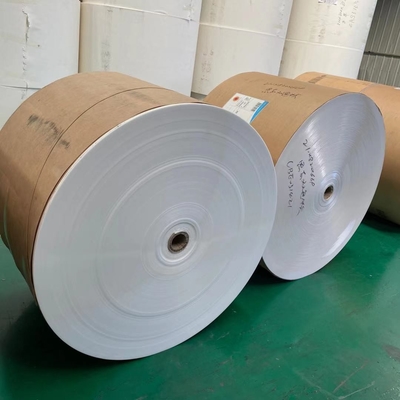 190g 210g PE Coated Paper Roll 1.3m Disposable Paper Roll