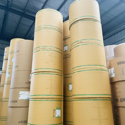 190g 210g PE Coated Paper Roll 1.3m Disposable Paper Roll
