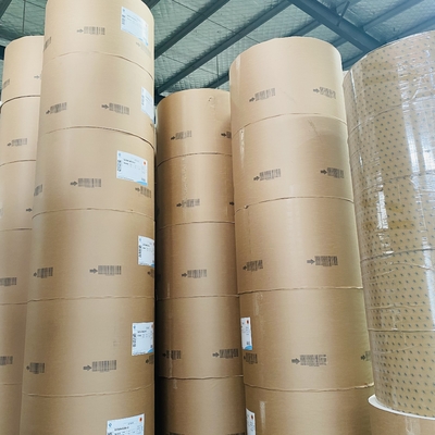 Customized Width PE Coated Paper Roll With Smooth Surface High Quality