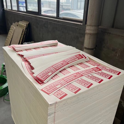 Flexo Printed Paper Cup Fan Grade B Double Side Coating
