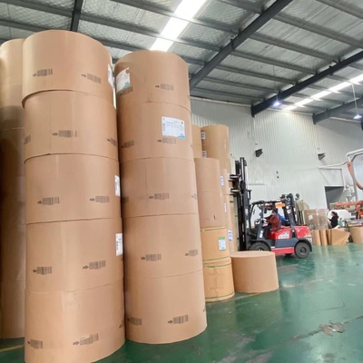 Eco-friendly PE Coated Paper Roll With Customized Size And Printing
