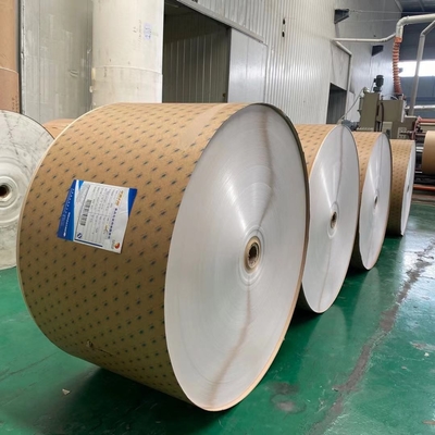 Greaseproof PE Coated Paper Roll Food Grade Eco-friendly Biodegradable