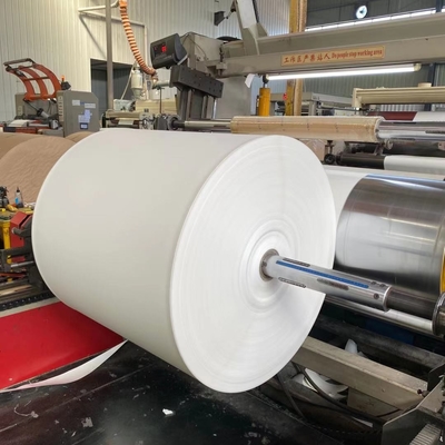 Greaseproof PE Coated Paper Roll Food Grade Eco-friendly Biodegradable
