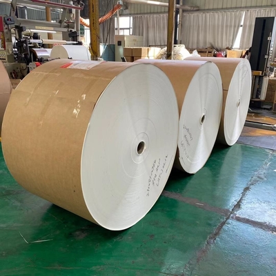 Greaseproof PE Plastic Coated Paper Roll Tear Resistance High Tensile